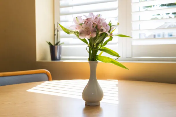 Ebury Court Care Home