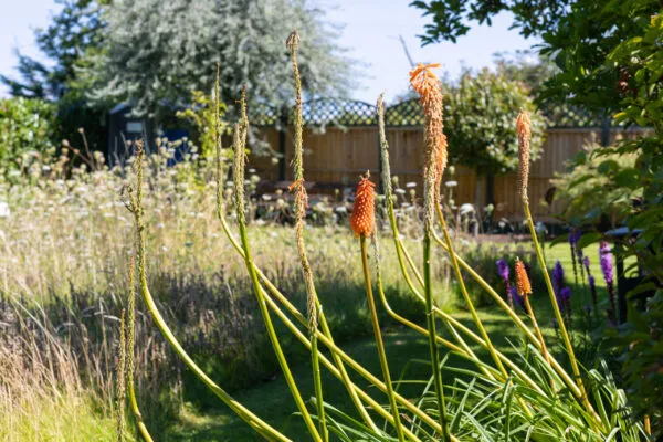 Ebury Court Care Home